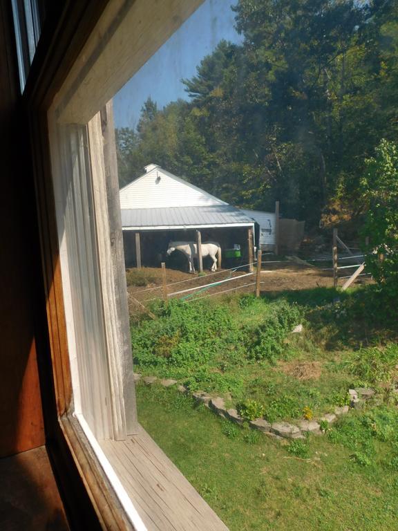 No View Farm Bed & Breakfast Rumford Bagian luar foto